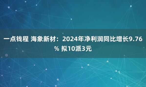 一点钱程 海象新材:2024年净利润同比增长9.76% 拟10派3元