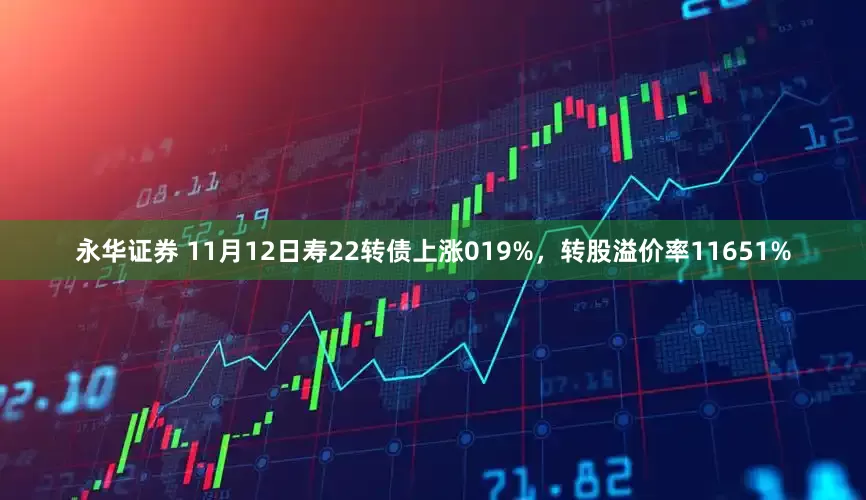 永华证券 11月12日寿22转债上涨019%，转股溢价率11651%