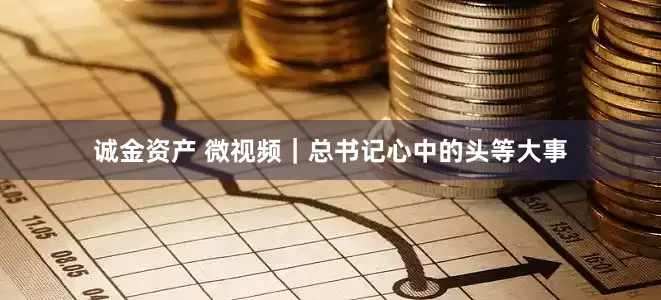 诚金资产 微视频|总书记心中的头等大事