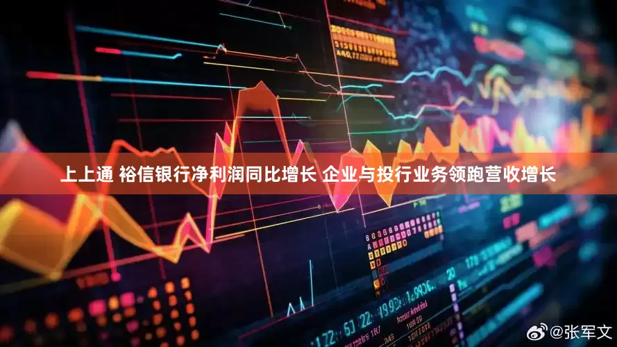 上上通 裕信银行净利润同比增长 企业与投行业务领跑营收增长